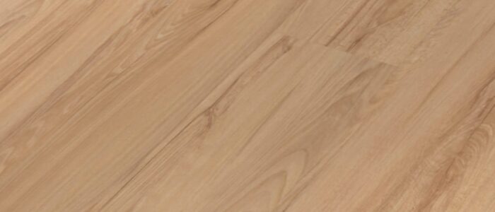 Samurai-Koenigsbuche-804-schraeg-scaled